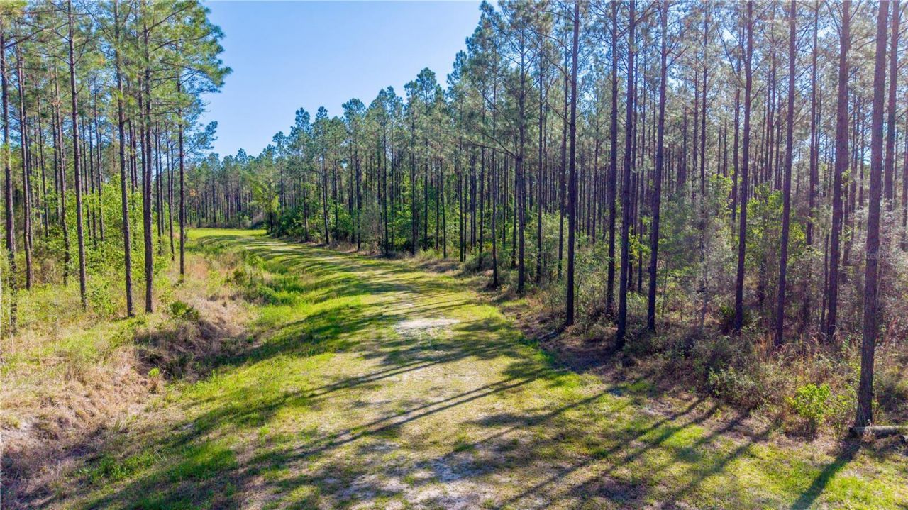 Tbd NW 57th Lane , Starke, FL 32091 Photo
