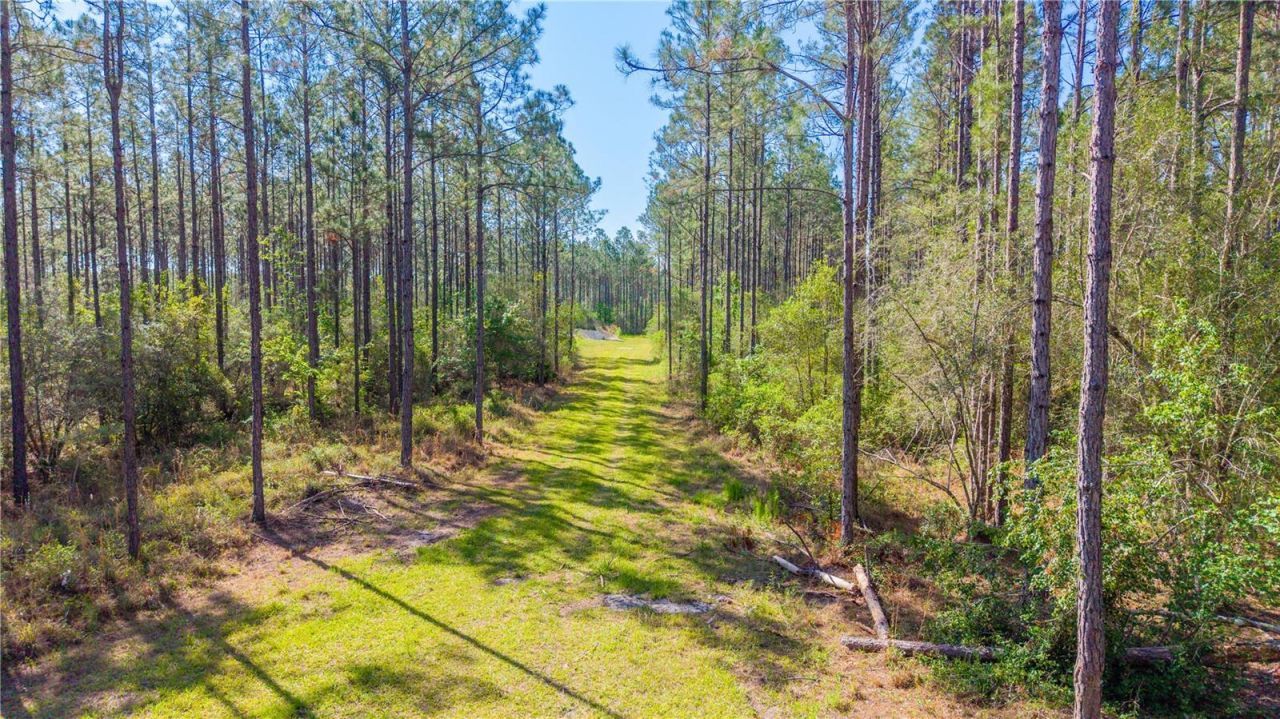Tbd NW 57th Lane , Starke, FL 32091 Photo