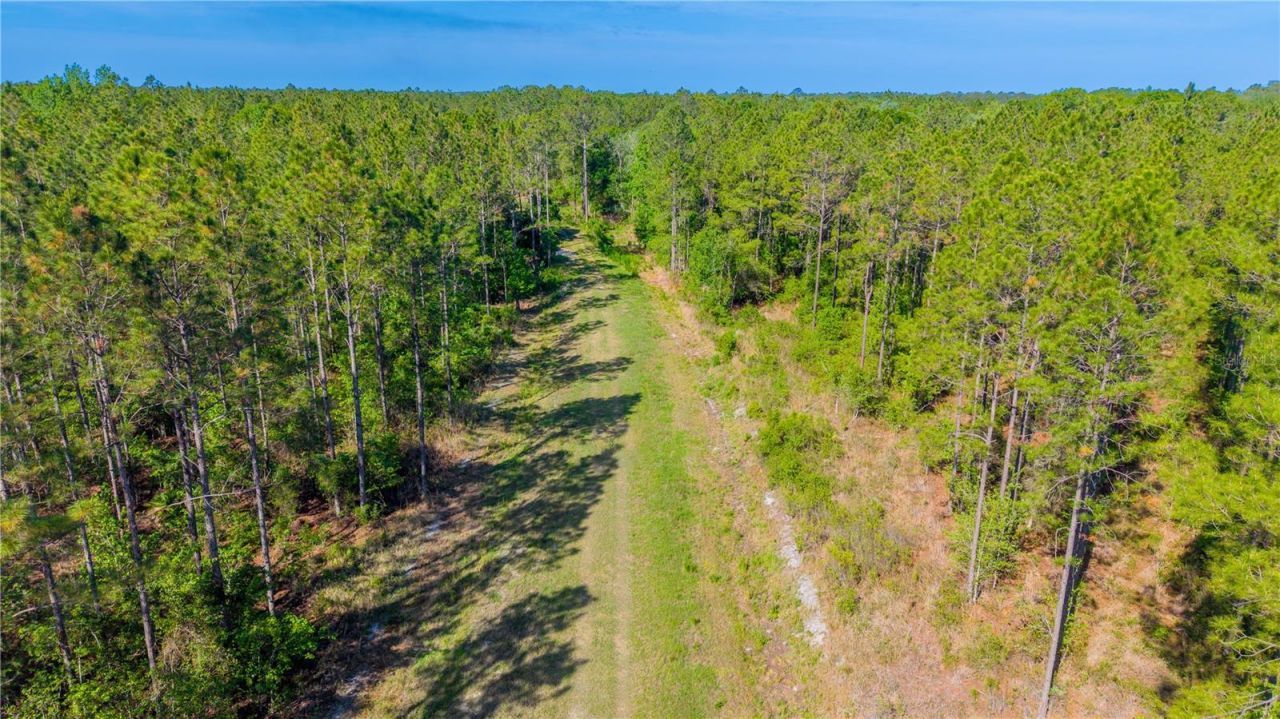 Tbd NW 57th Lane , Starke, FL 32091 Photo