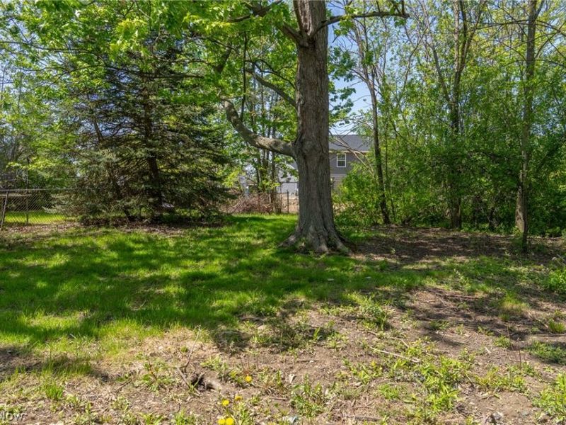 37 Arlington Circle, Wickliffe, OH 44092 Photo 28