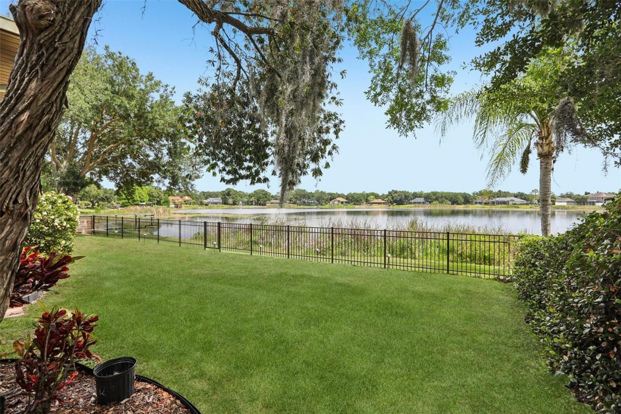 15720 Berea Drive, Odessa, FL 33556 Photo