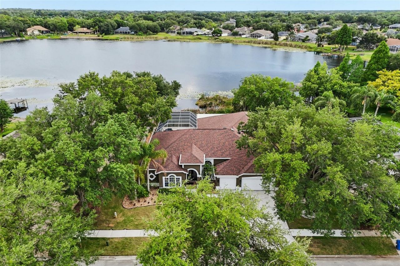 15720 Berea Drive, Odessa, FL 33556 Photo