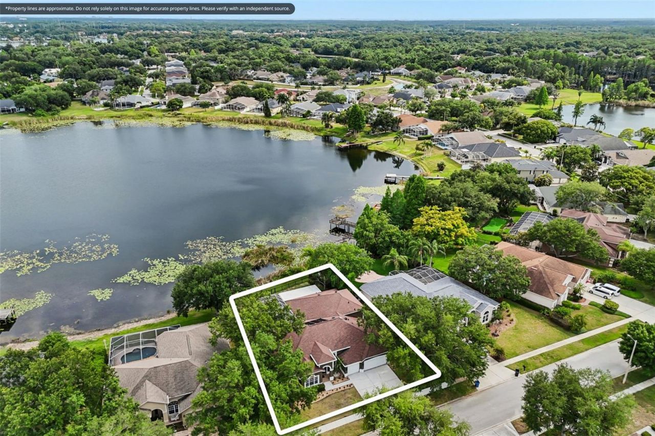 15720 Berea Drive, Odessa, FL 33556 Photo