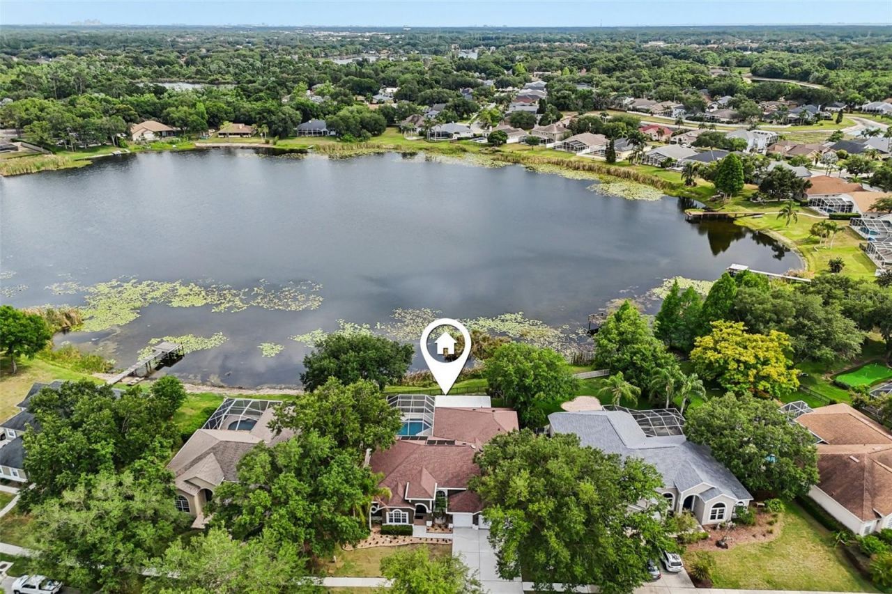15720 Berea Drive, Odessa, FL 33556 Photo