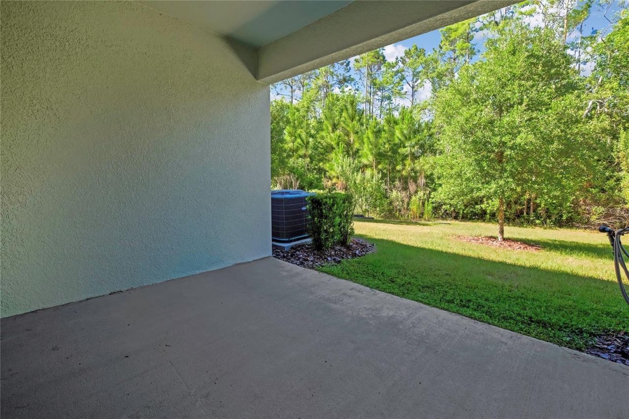 16663 Shell Bay Drive , Land O Lakes, FL 34638 Photo