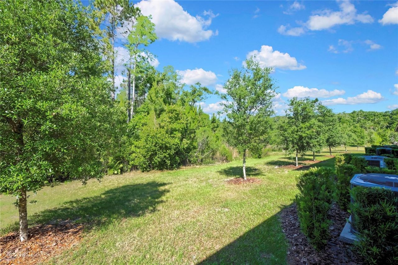 16663 Shell Bay Drive , Land O Lakes, FL 34638 Photo