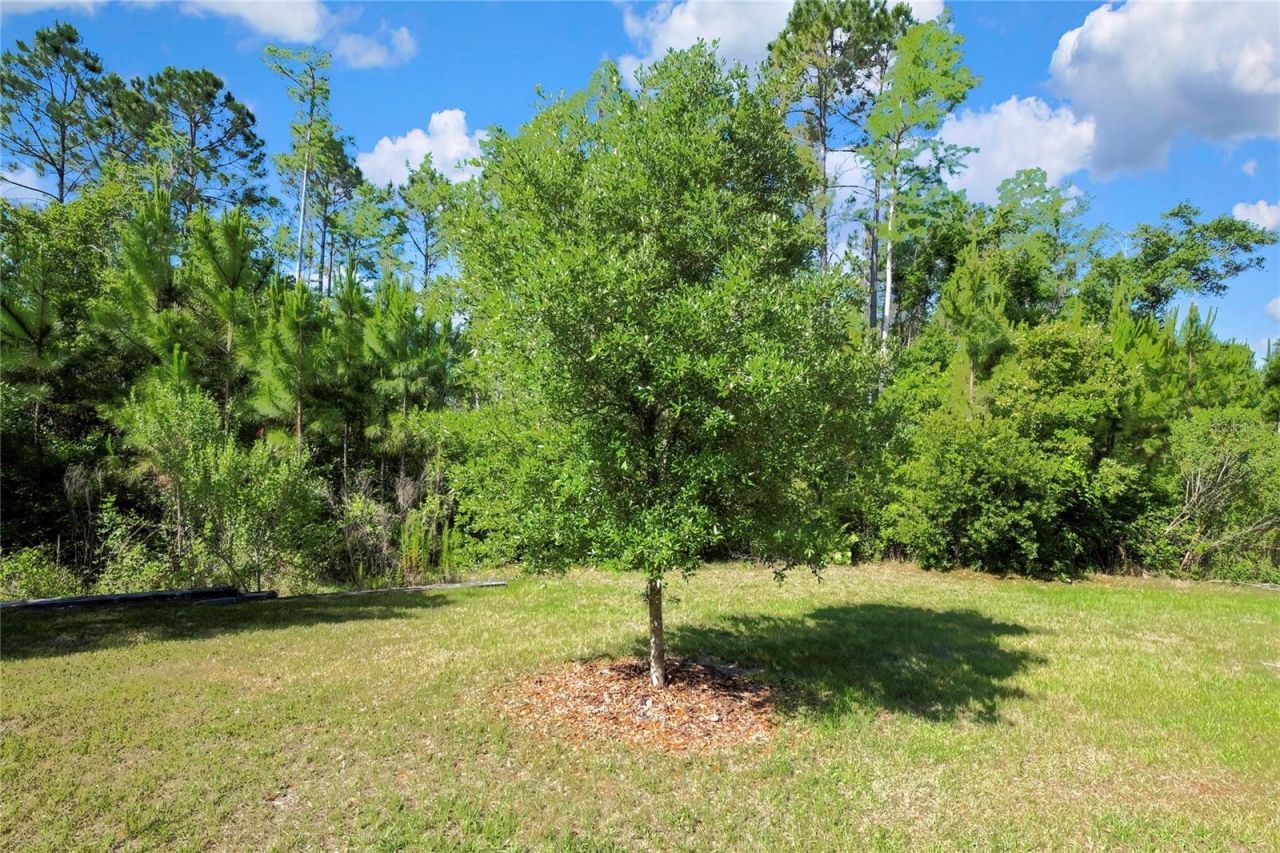 16663 Shell Bay Drive , Land O Lakes, FL 34638 Photo