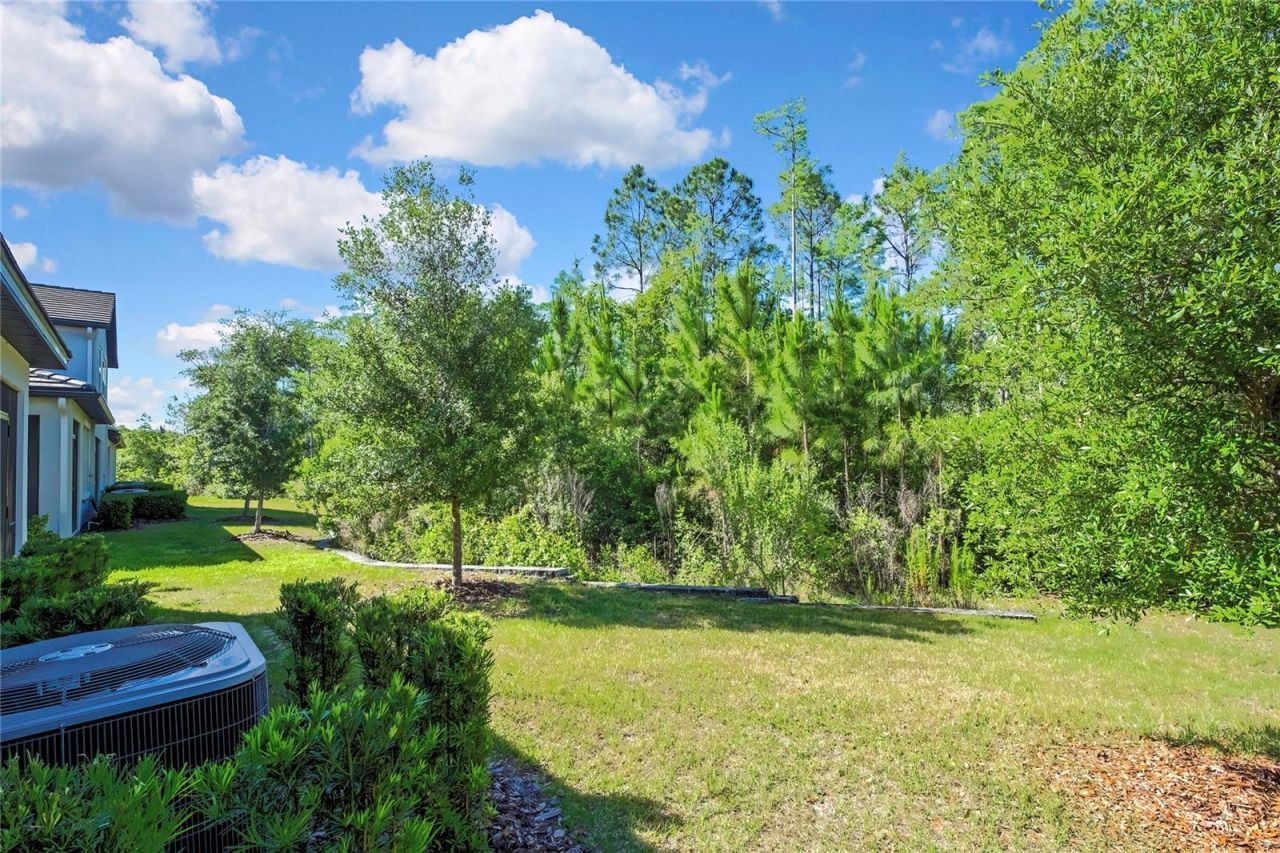 16663 Shell Bay Drive , Land O Lakes, FL 34638 Photo