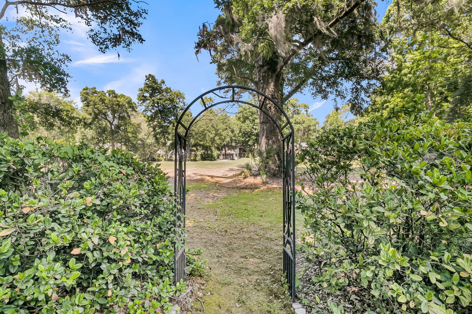 5209 Forest Oaks Drive Photo 38