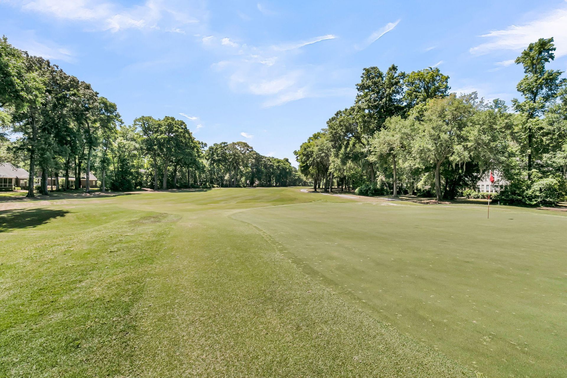 5209 Forest Oaks Drive Photo 43