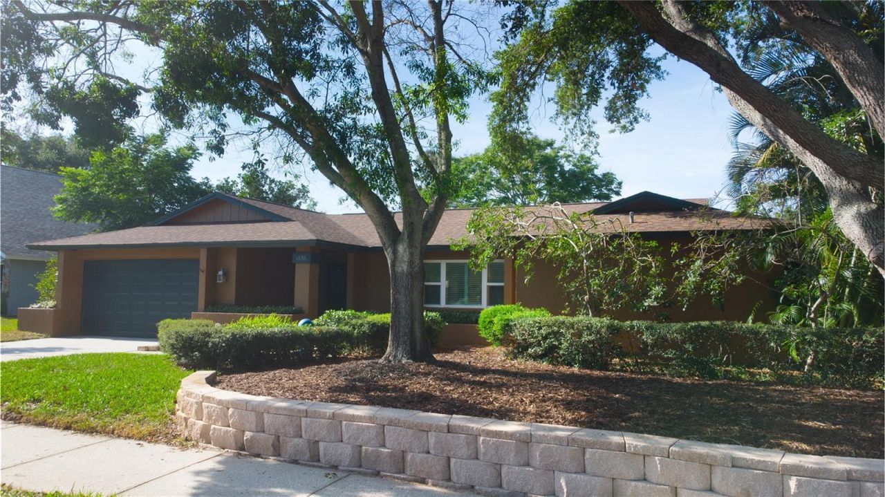 1656 Brae Moor Lane, Dunedin, FL 34698 Main Photo