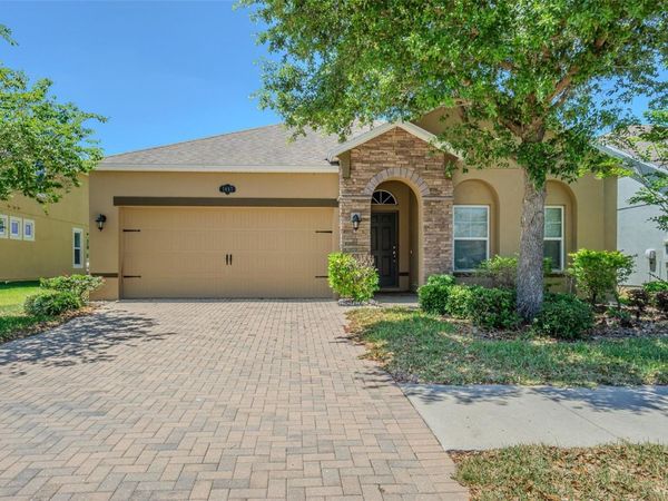 1667 NATURE VIEW DRIVE , LUTZ, FL 33558