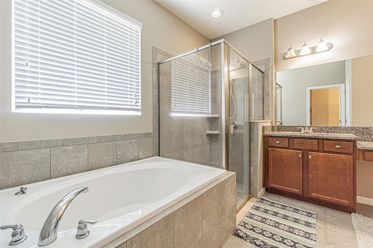 1667 Nature View Drive , Lutz, FL 33558 Photo