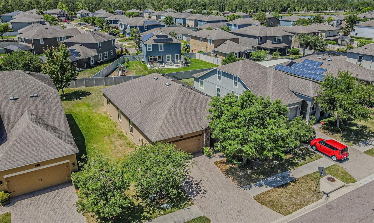 1667 Nature View Drive , Lutz, FL 33558 Photo