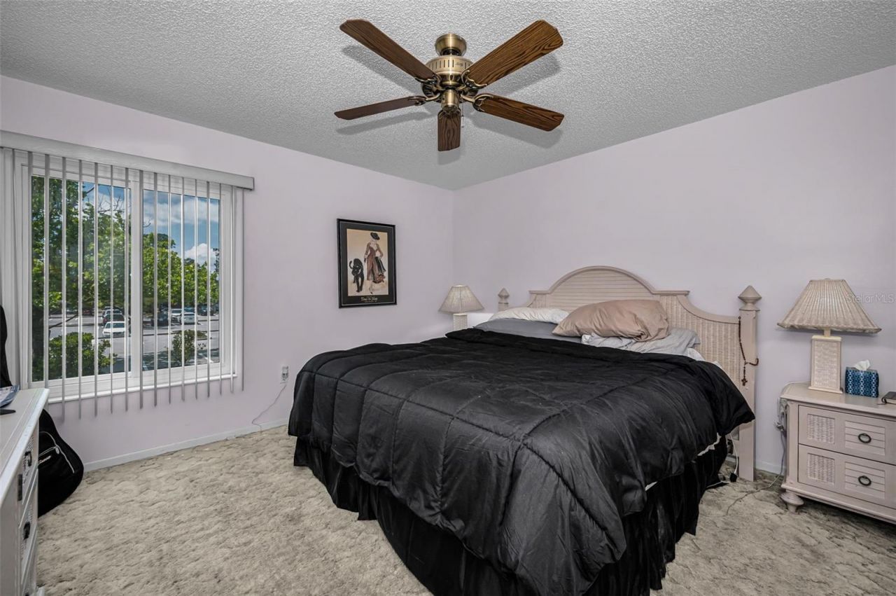 2600 Pine Ridge Way S, Unit A2, Palm Harbor, FL 34684 Photo