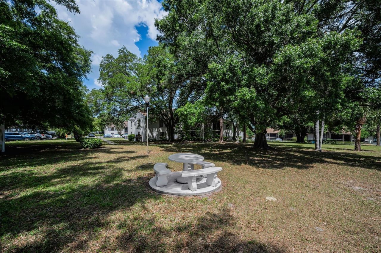 2600 Pine Ridge Way S, Unit A2, Palm Harbor, FL 34684 Photo