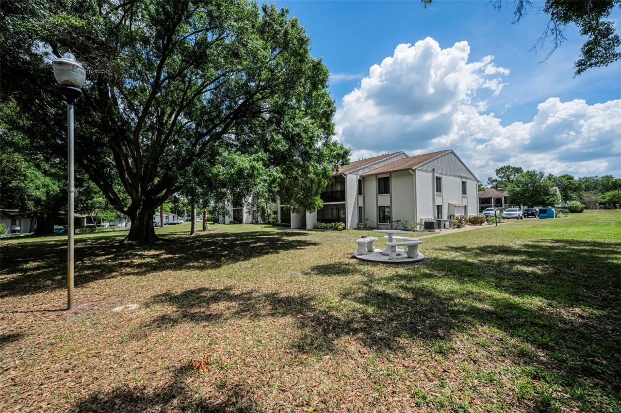 2600 Pine Ridge Way S, Unit A2, Palm Harbor, FL 34684 Photo