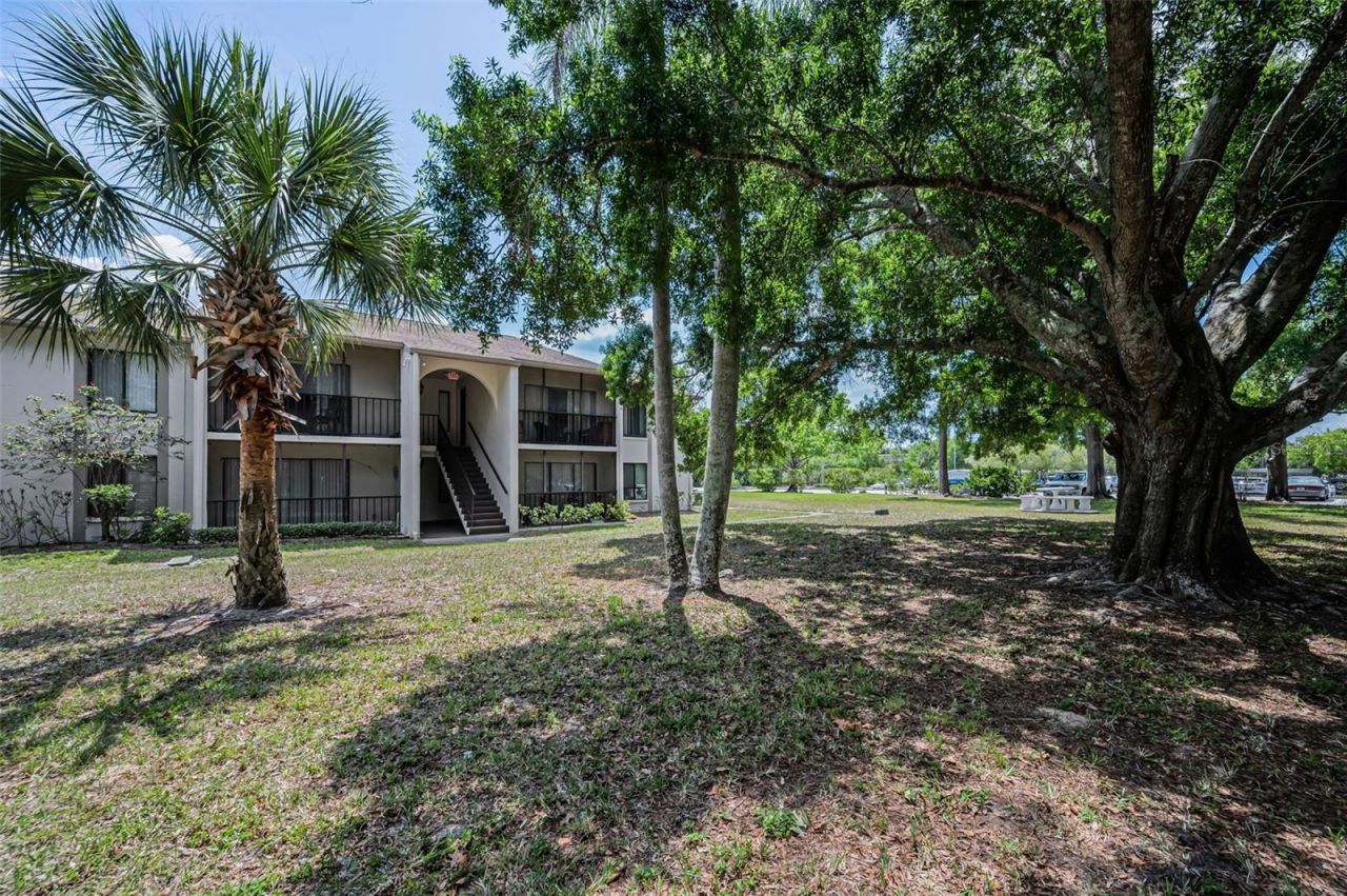 2600 Pine Ridge Way S, Unit A2, Palm Harbor, FL 34684 Photo