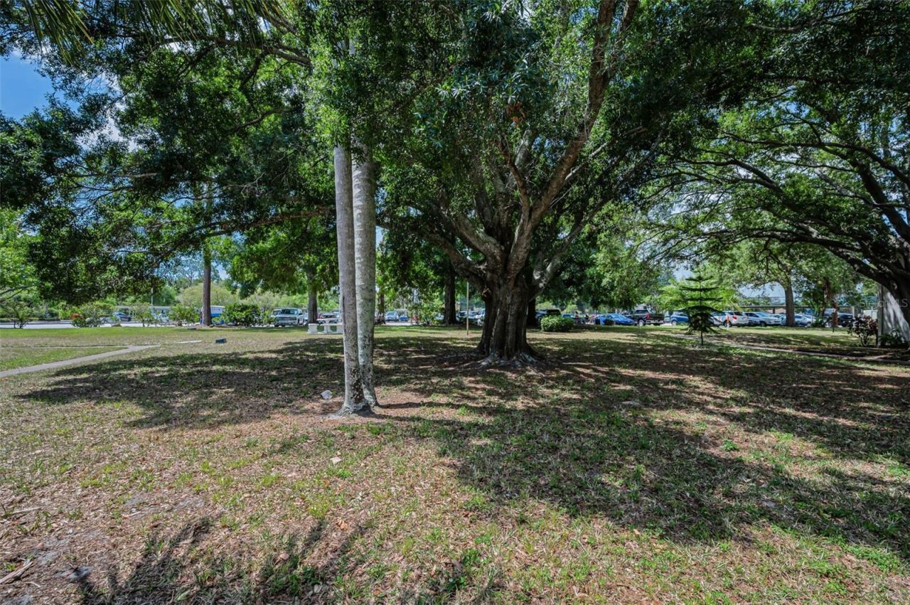 2600 Pine Ridge Way S, Unit A2, Palm Harbor, FL 34684 Photo