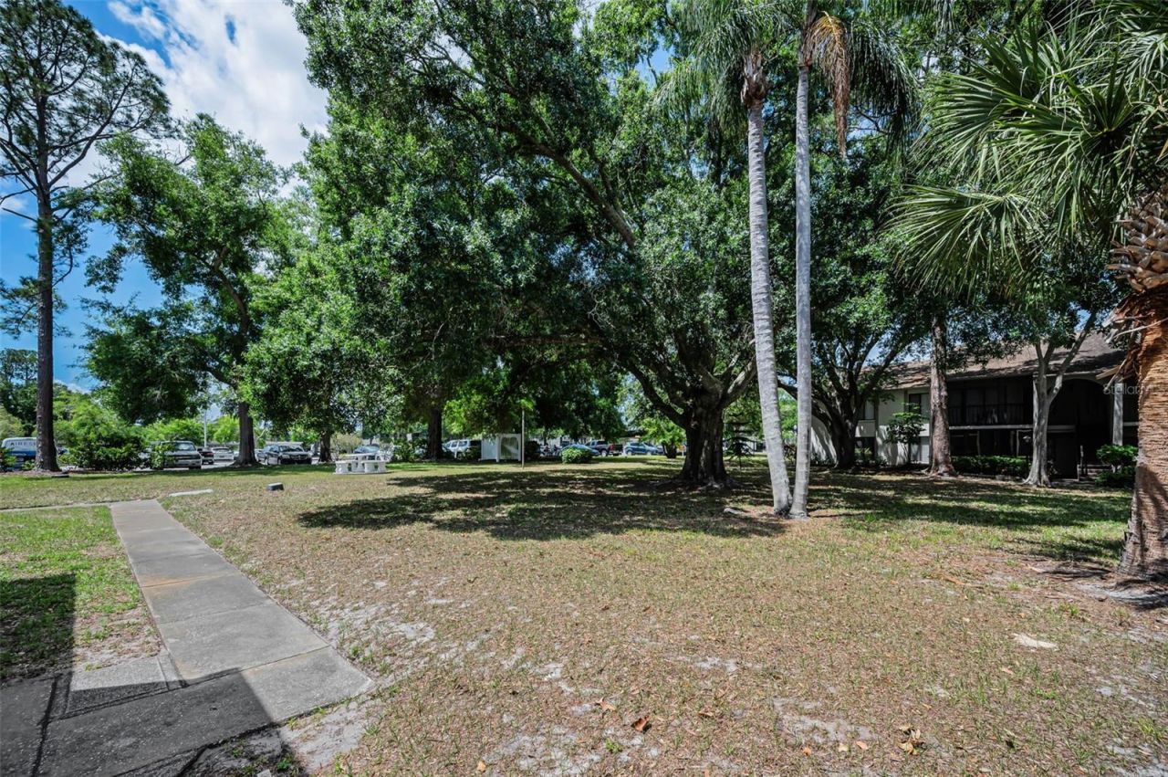 2600 Pine Ridge Way S, Unit A2, Palm Harbor, FL 34684 Photo
