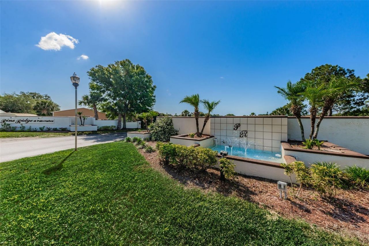 2600 Pine Ridge Way S, Unit A2, Palm Harbor, FL 34684 Photo