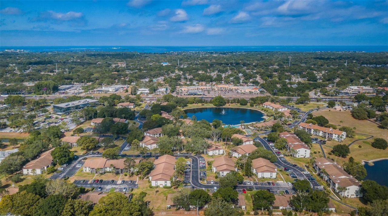 2600 Pine Ridge Way S, Unit A2, Palm Harbor, FL 34684 Photo