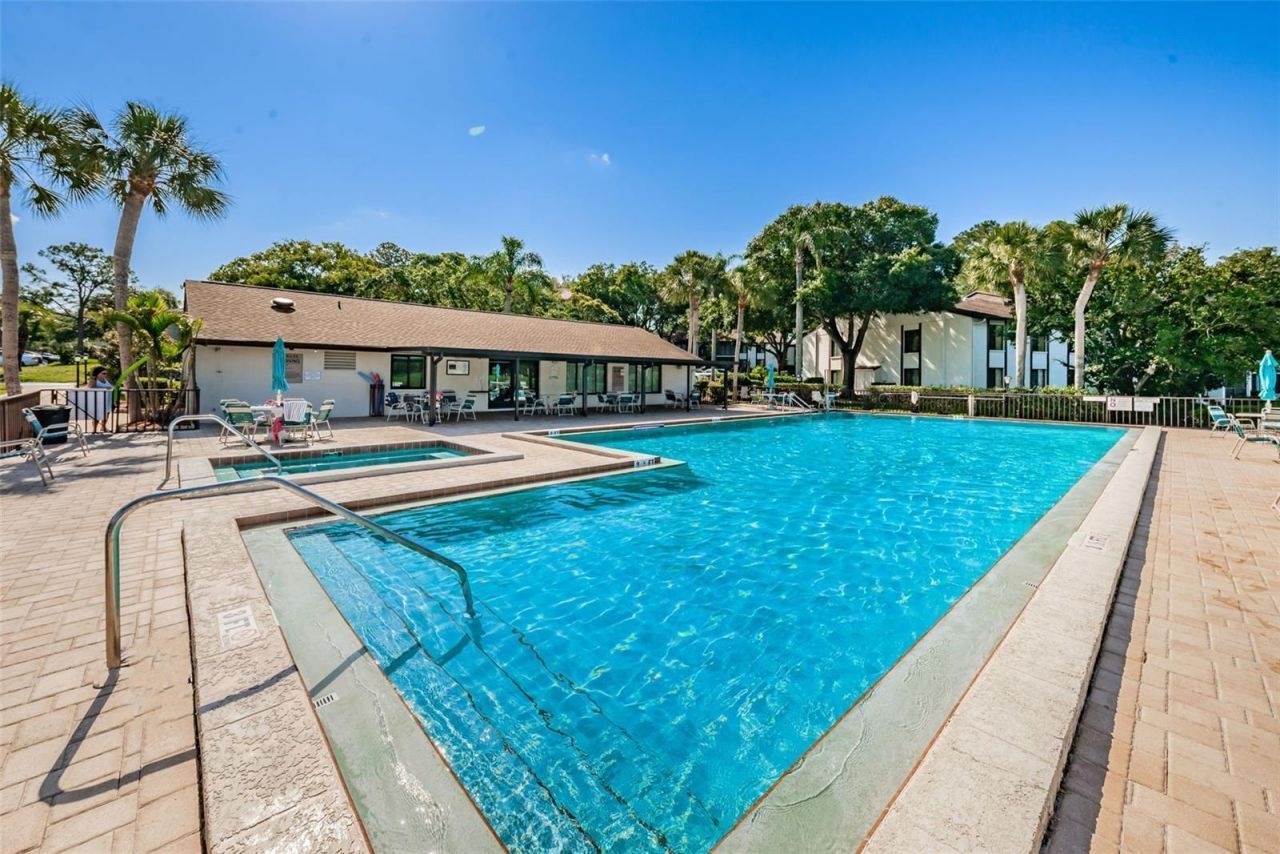 2600 Pine Ridge Way S, Unit A2, Palm Harbor, FL 34684 Photo