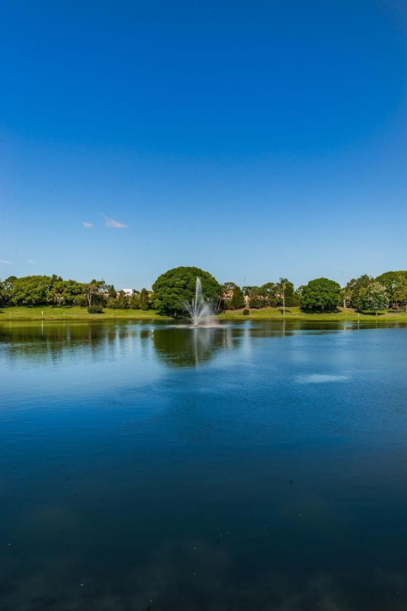 2600 Pine Ridge Way S, Unit A2, Palm Harbor, FL 34684 Photo