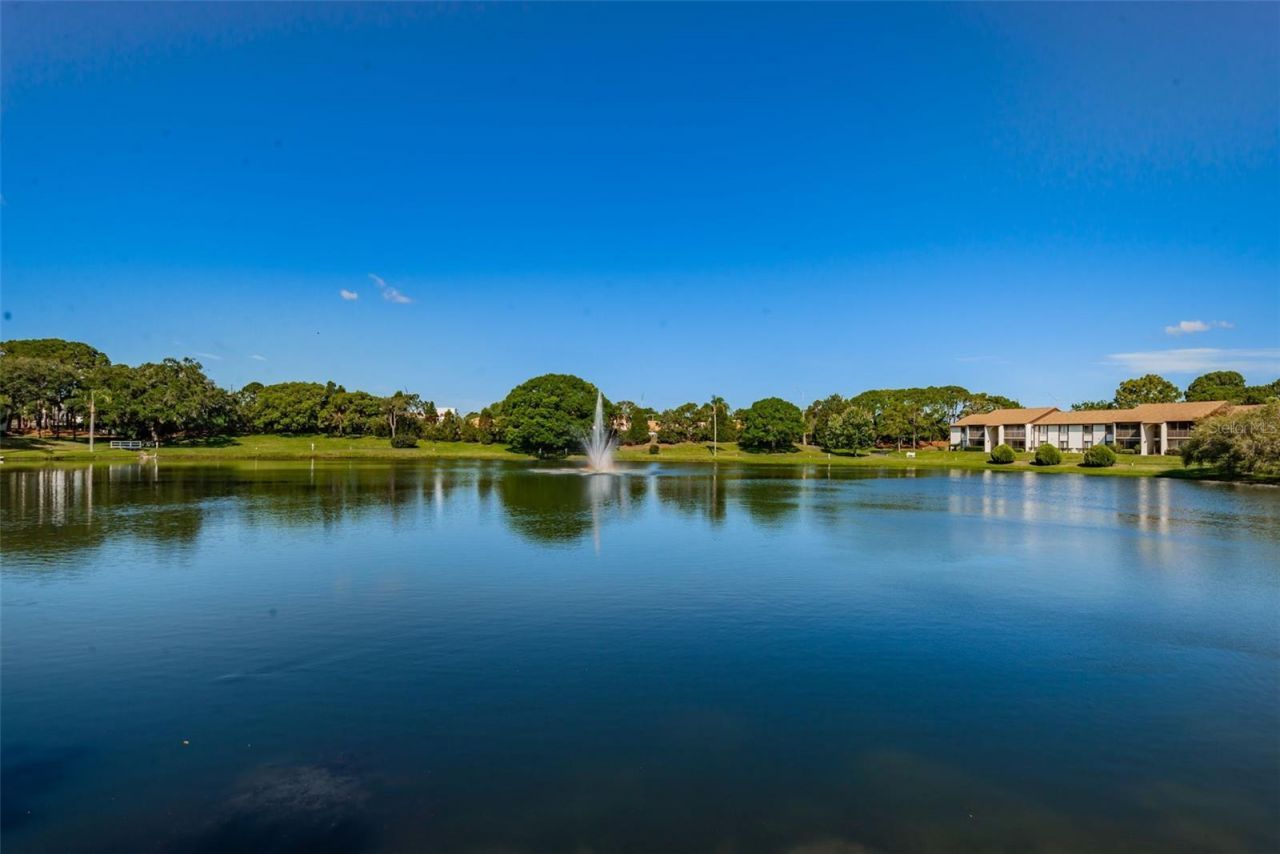 2600 Pine Ridge Way S, Unit A2, Palm Harbor, FL 34684 Photo