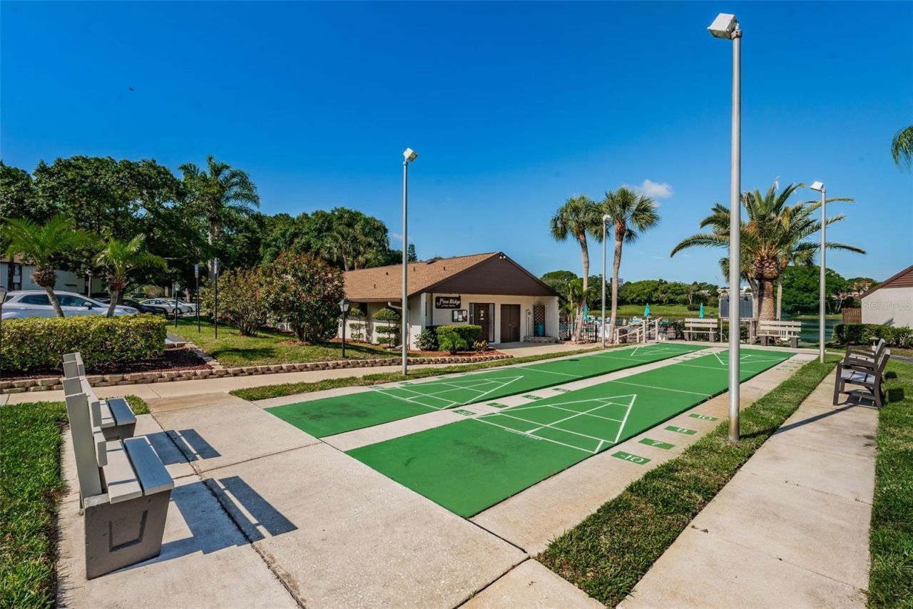 2600 Pine Ridge Way S, Unit A2, Palm Harbor, FL 34684 Photo