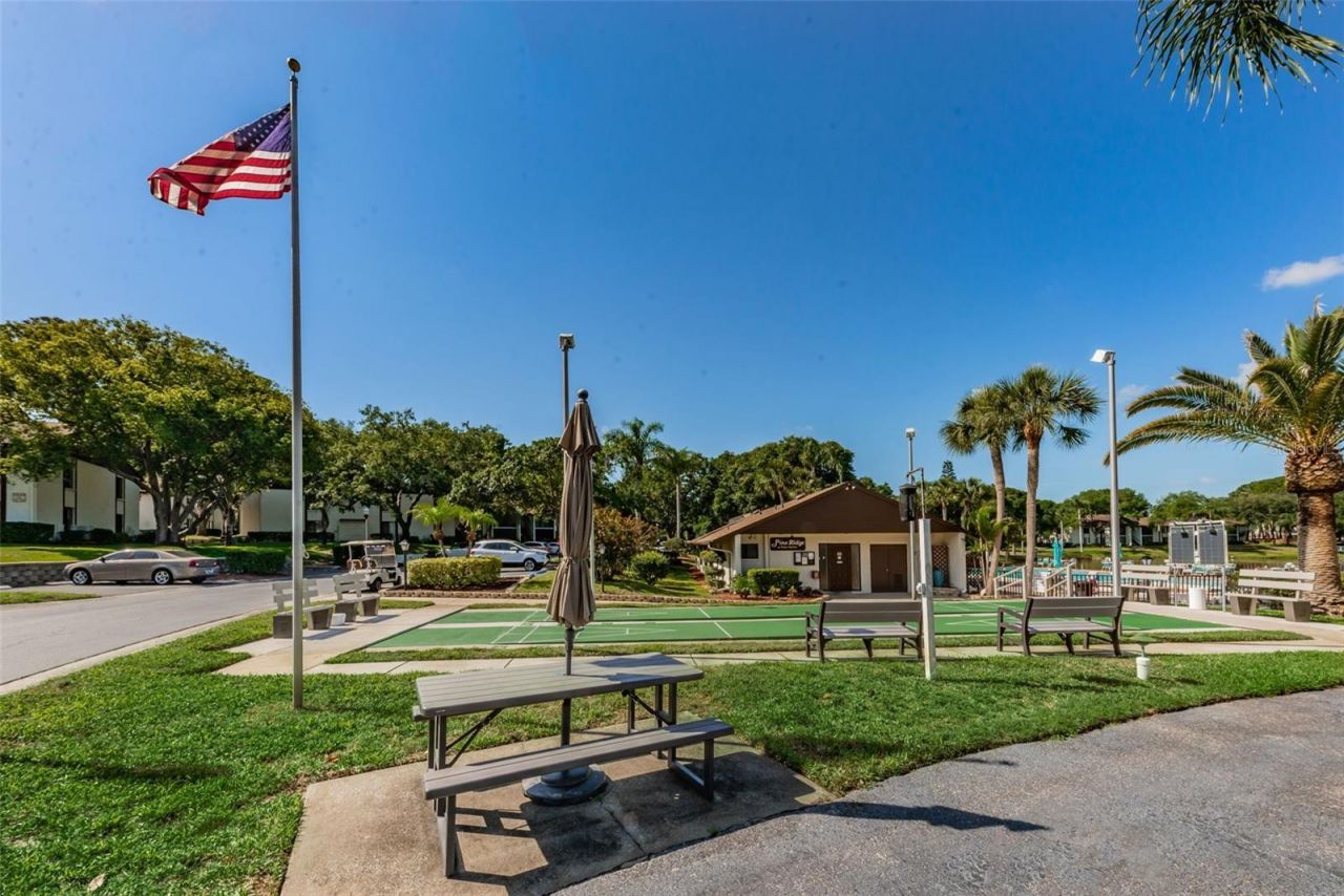 2600 Pine Ridge Way S, Unit A2, Palm Harbor, FL 34684 Photo