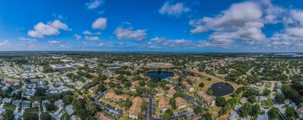 2600 Pine Ridge Way S, Unit A2, Palm Harbor, FL 34684 Photo