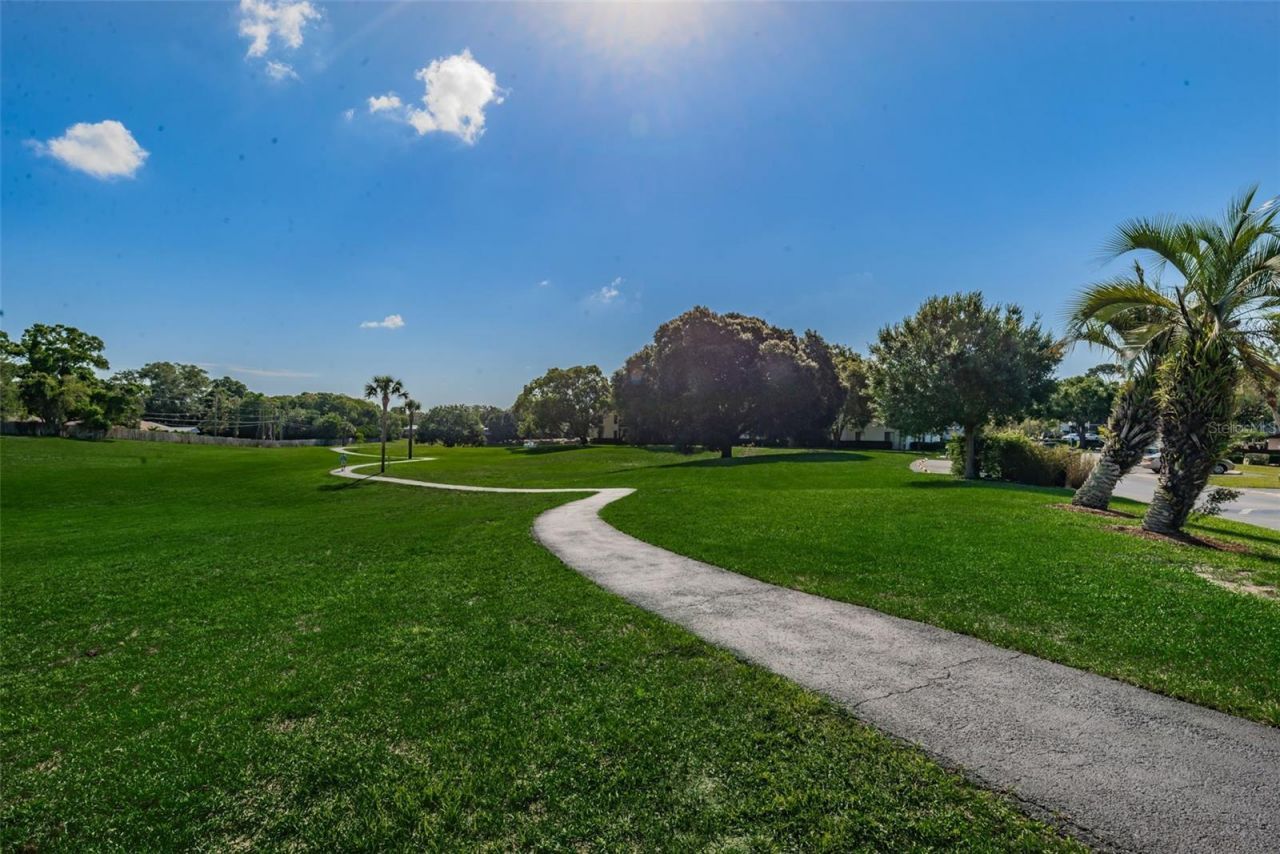 2600 Pine Ridge Way S, Unit A2, Palm Harbor, FL 34684 Photo