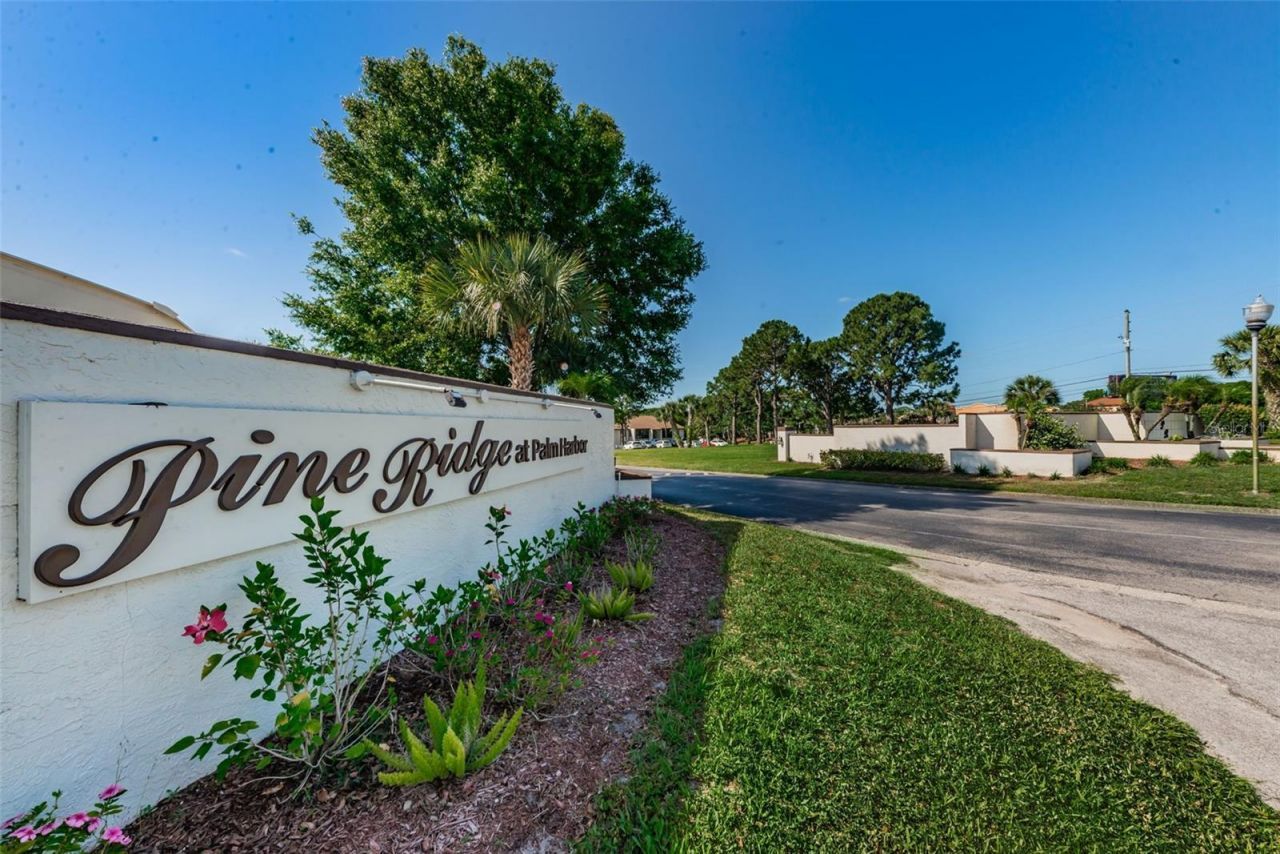 2600 Pine Ridge Way S, Unit A2, Palm Harbor, FL 34684 Photo