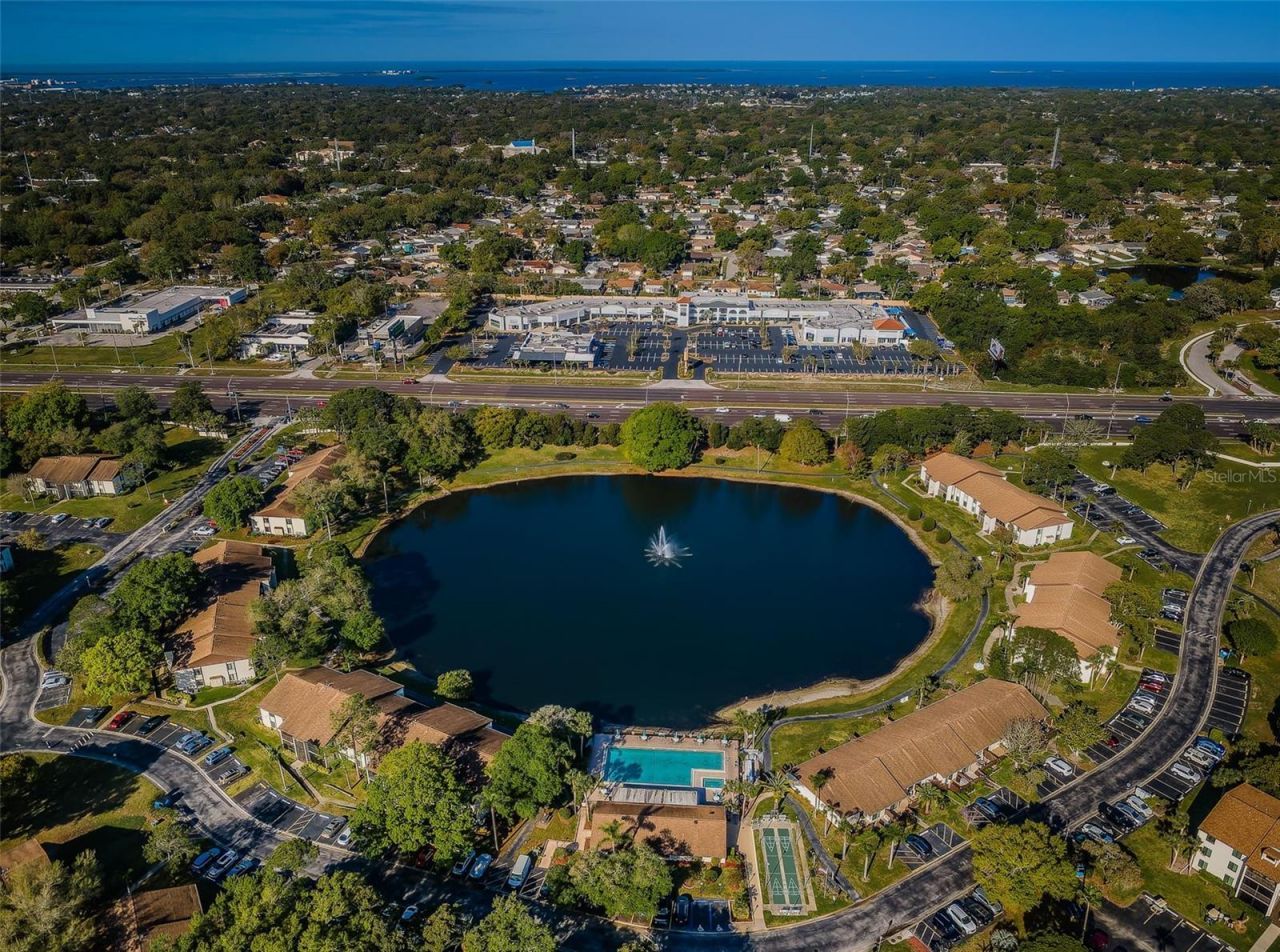 2600 Pine Ridge Way S, Unit A2, Palm Harbor, FL 34684 Photo