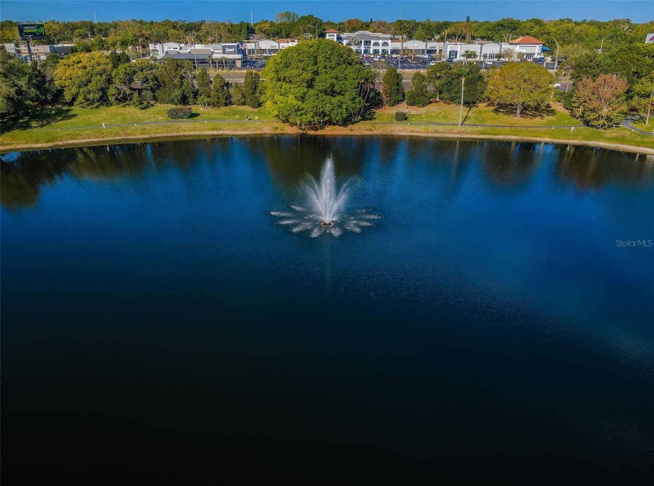 2600 Pine Ridge Way S, Unit A2, Palm Harbor, FL 34684 Photo