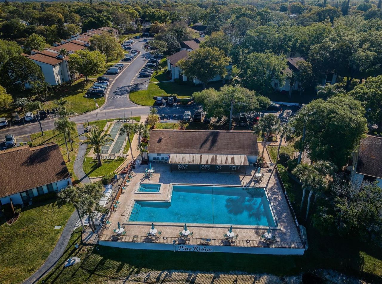 2600 Pine Ridge Way S, Unit A2, Palm Harbor, FL 34684 Photo