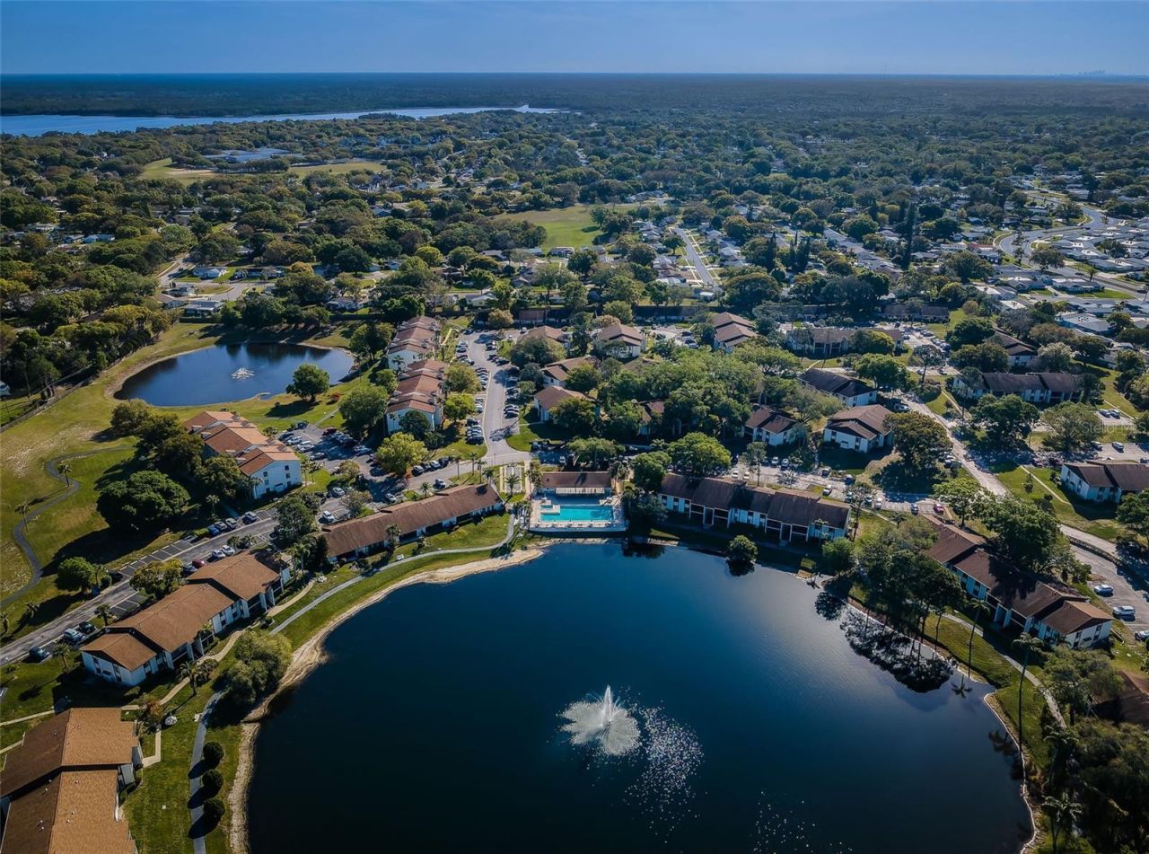 2600 Pine Ridge Way S, Unit A2, Palm Harbor, FL 34684 Photo