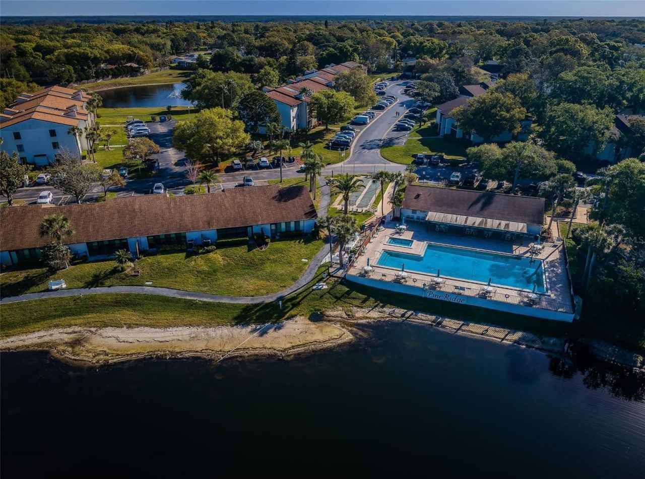 2600 Pine Ridge Way S, Unit A2, Palm Harbor, FL 34684 Photo