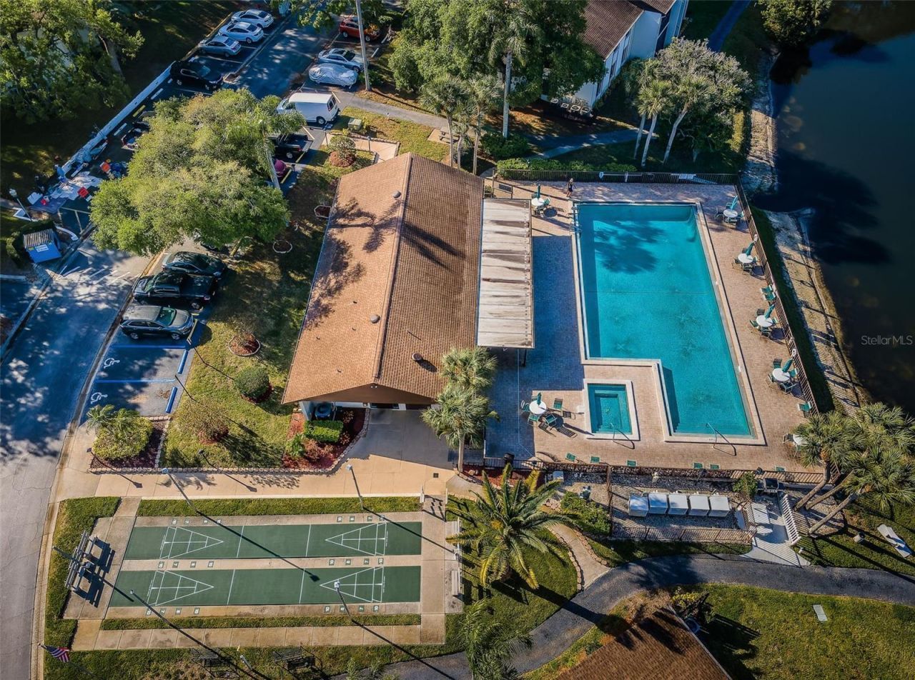 2600 Pine Ridge Way S, Unit A2, Palm Harbor, FL 34684 Photo