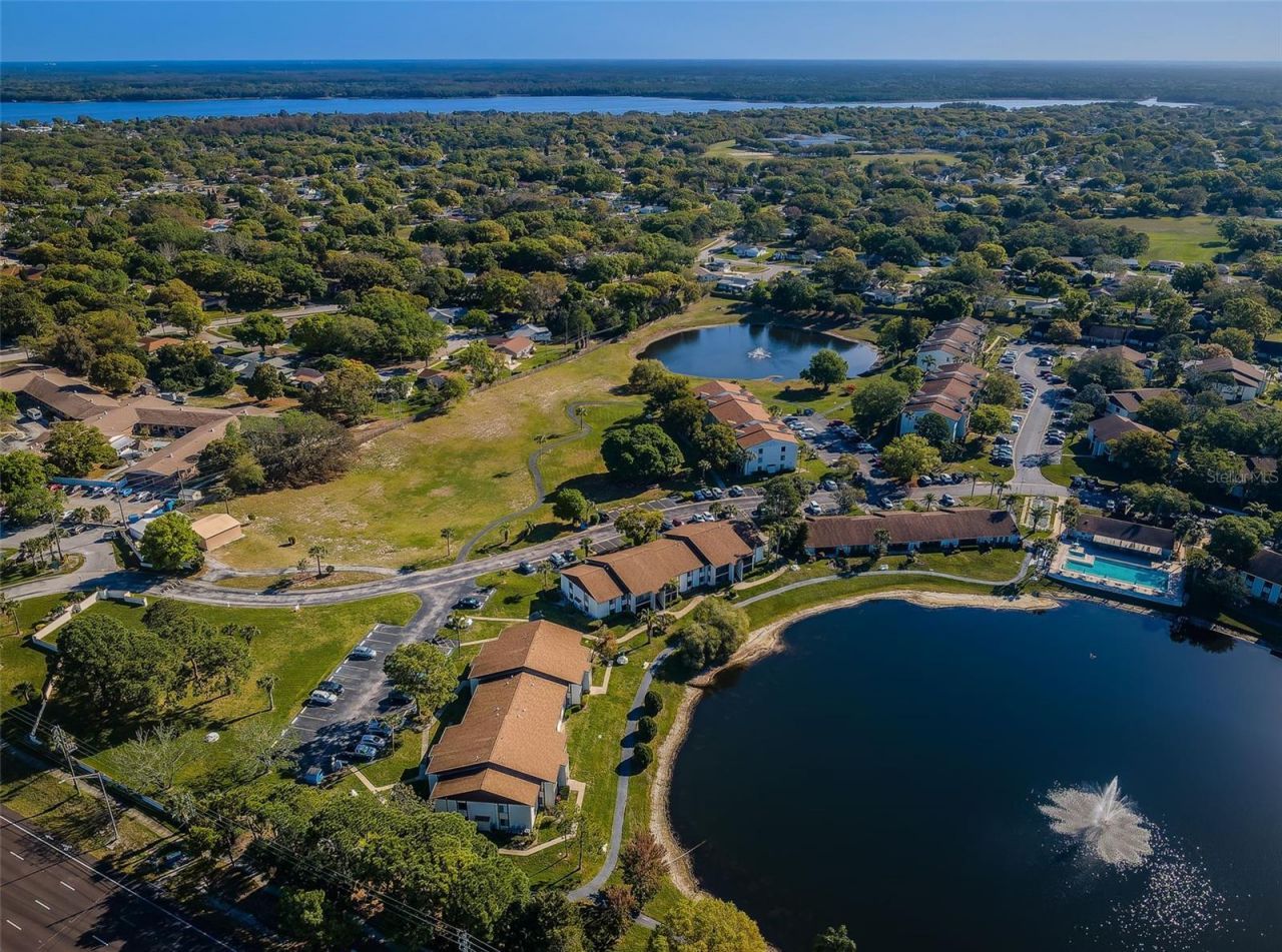 2600 Pine Ridge Way S, Unit A2, Palm Harbor, FL 34684 Photo