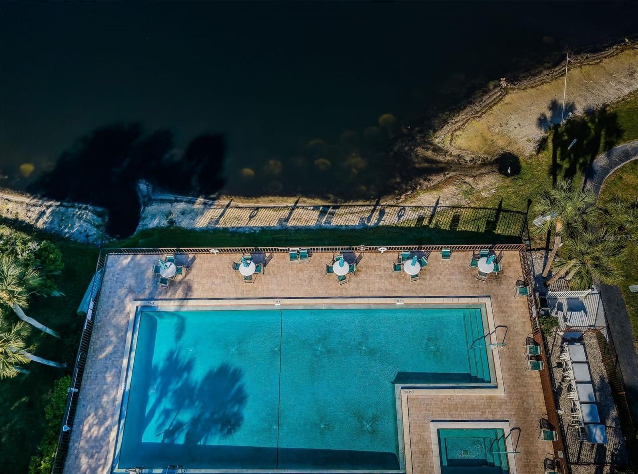 2600 Pine Ridge Way S, Unit A2, Palm Harbor, FL 34684 Photo