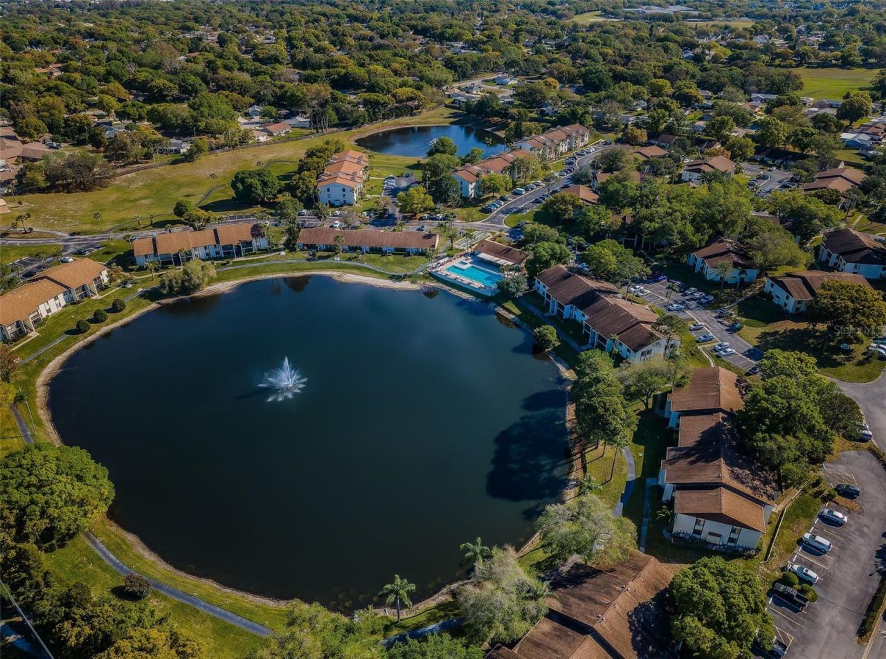 2600 Pine Ridge Way S, Unit A2, Palm Harbor, FL 34684 Photo