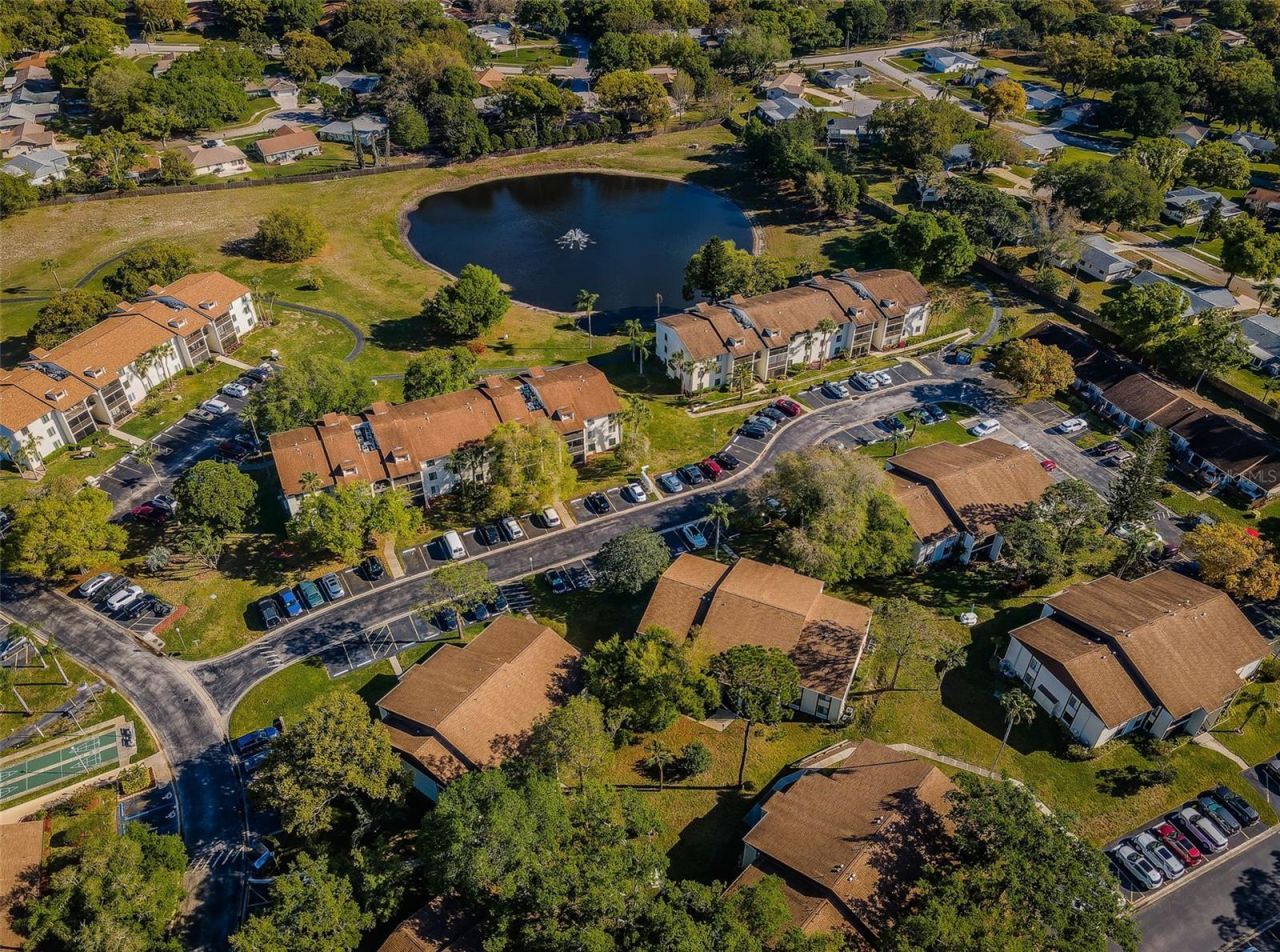 2600 Pine Ridge Way S, Unit A2, Palm Harbor, FL 34684 Photo