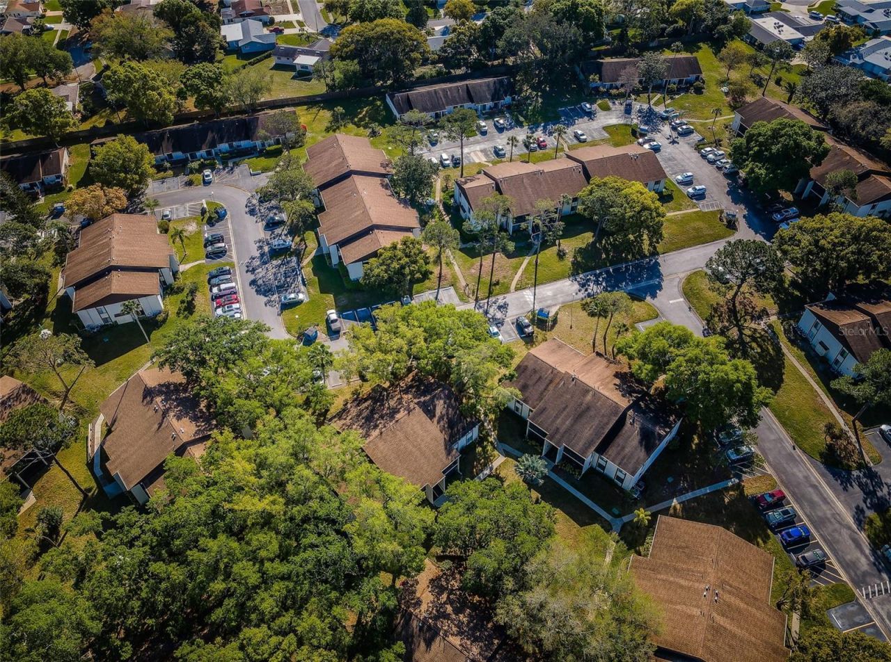 2600 Pine Ridge Way S, Unit A2, Palm Harbor, FL 34684 Photo