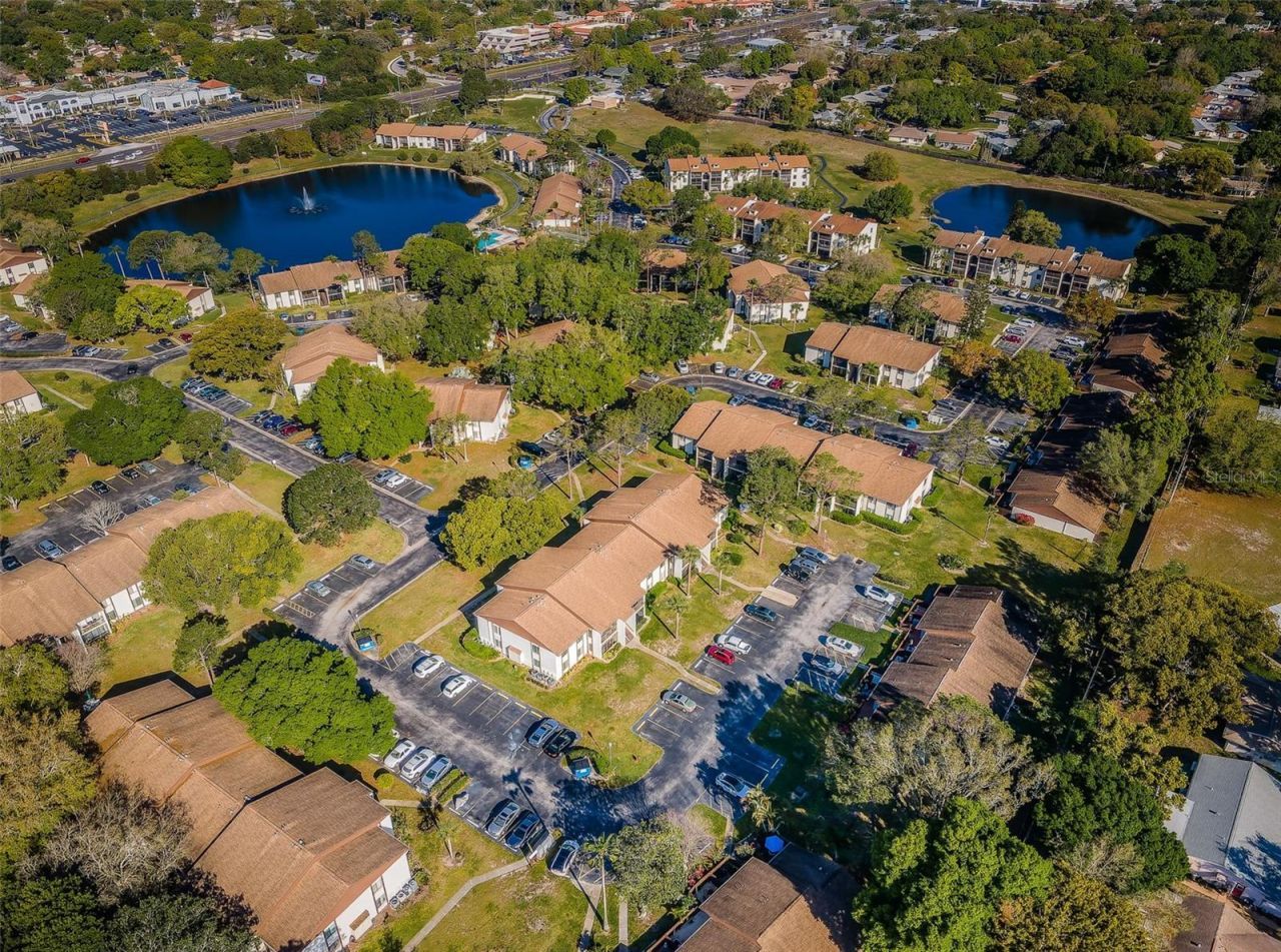 2600 Pine Ridge Way S, Unit A2, Palm Harbor, FL 34684 Photo