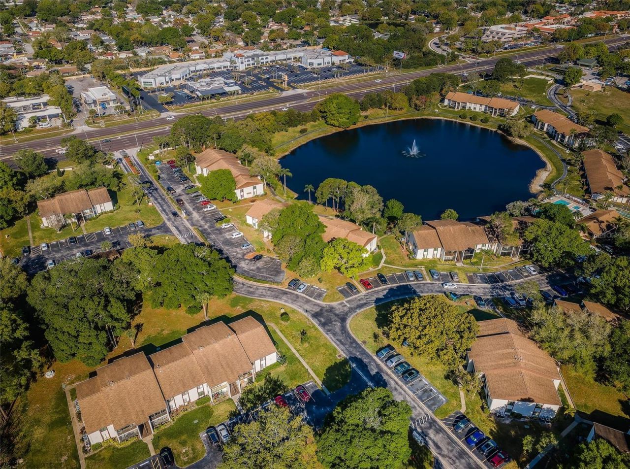 2600 Pine Ridge Way S, Unit A2, Palm Harbor, FL 34684 Photo