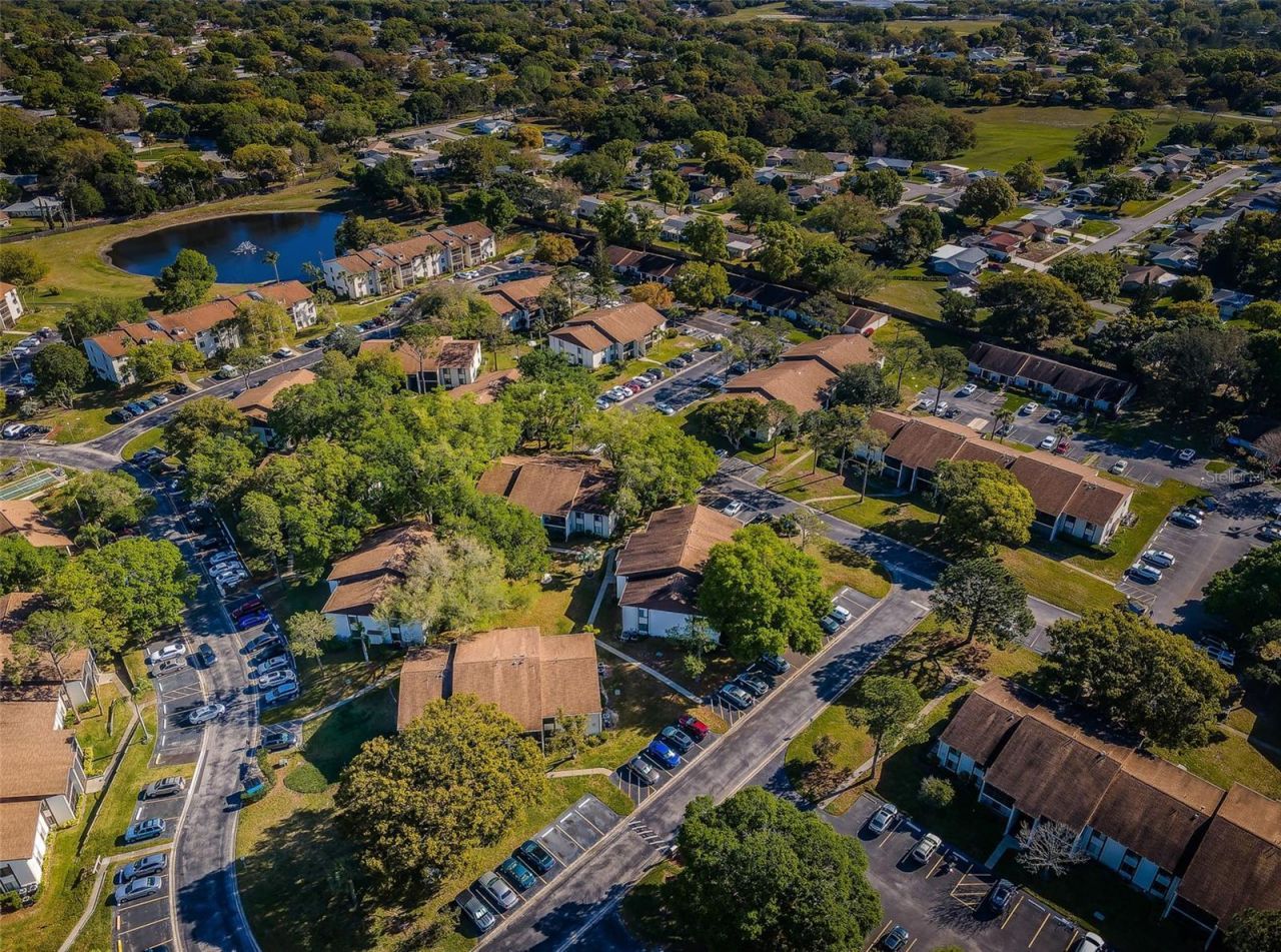 2600 Pine Ridge Way S, Unit A2, Palm Harbor, FL 34684 Photo