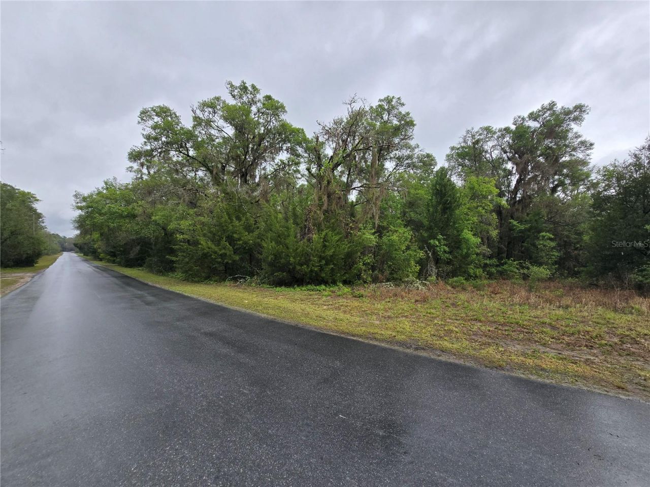 6727 N Linen Point, Dunnellon, FL 34433 Photo