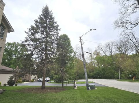 Main Photo